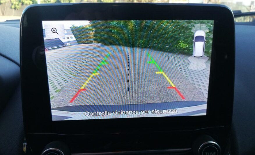 FORD EcoSport 1.0 EcoBoost 125 CV S.&S. Titanium GPL Bi-color Grigio e Nero