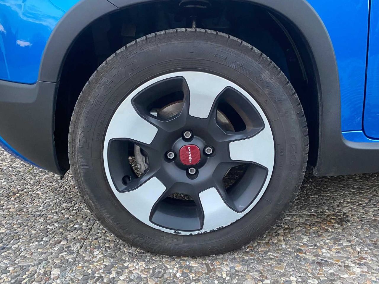 FIAT Panda 1.0 firefly hybrid Cross s&s 70cv 5p.ti BluAzzurro