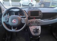 FIAT Panda 1.0 firefly hybrid Cross s&s 70cv 5p.ti BluAzzurro