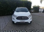 FORD EcoSport 1.0 EcoBoost 125 CV S.&S. Titanium GPL Bi-color Grigio e Nero