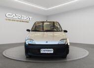 FIAT 900i cat Young