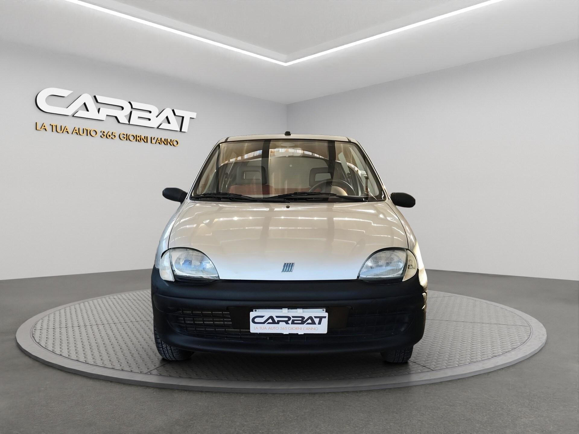 FIAT 900i cat Young
