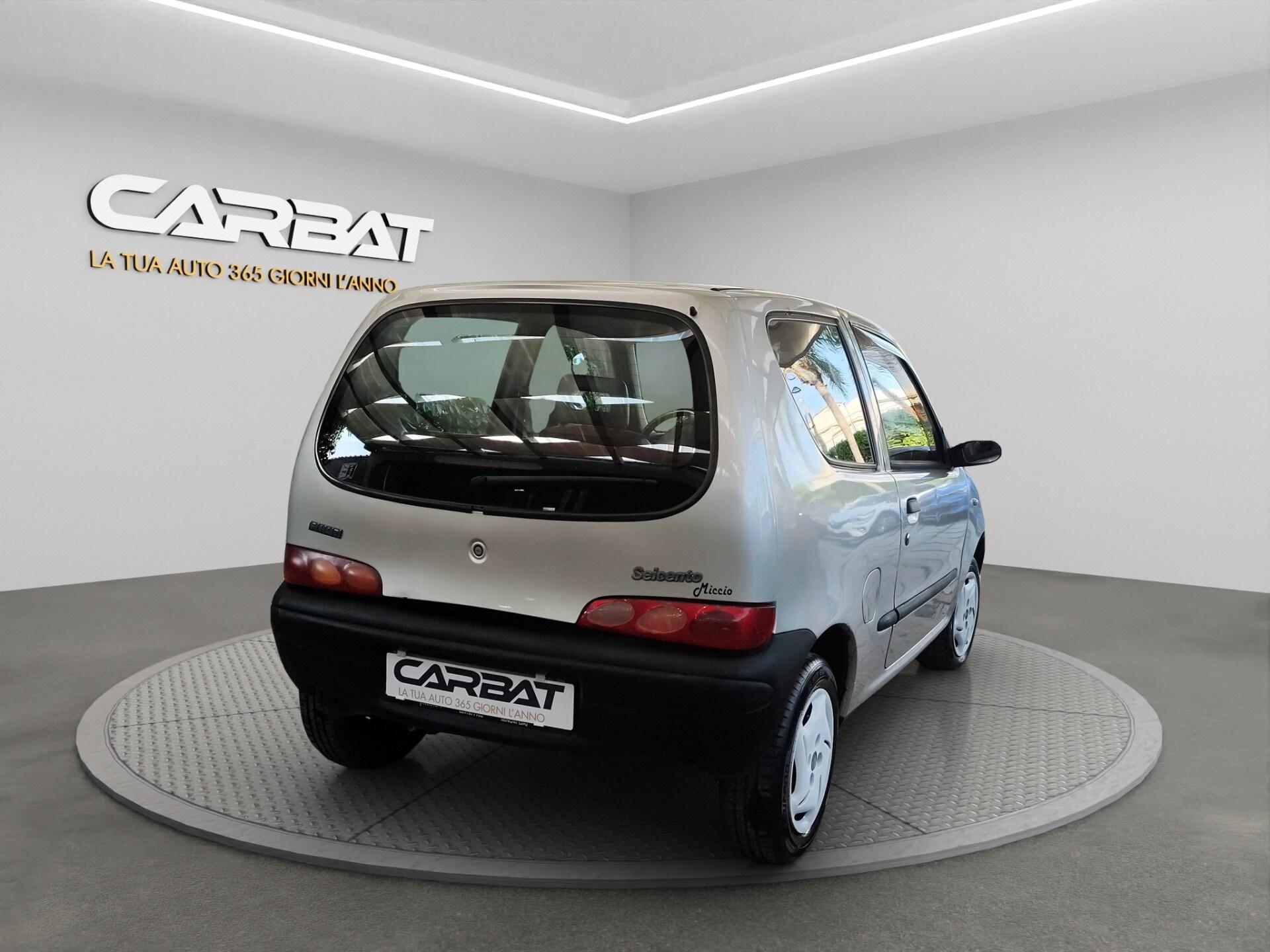 FIAT 900i cat Young