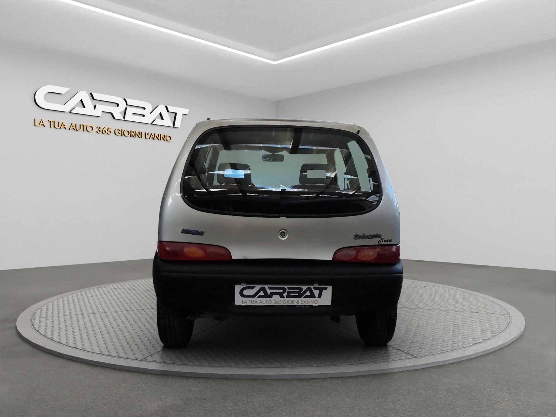 FIAT 900i cat Young