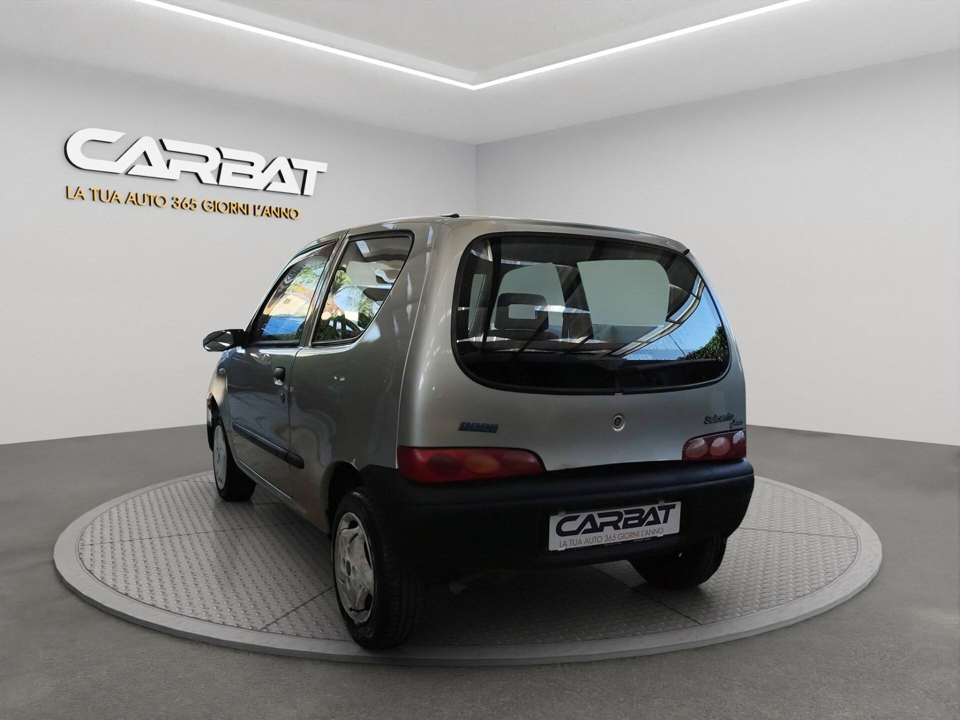 FIAT 900i cat Young