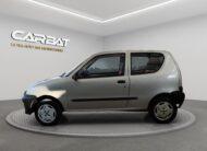 FIAT 900i cat Young