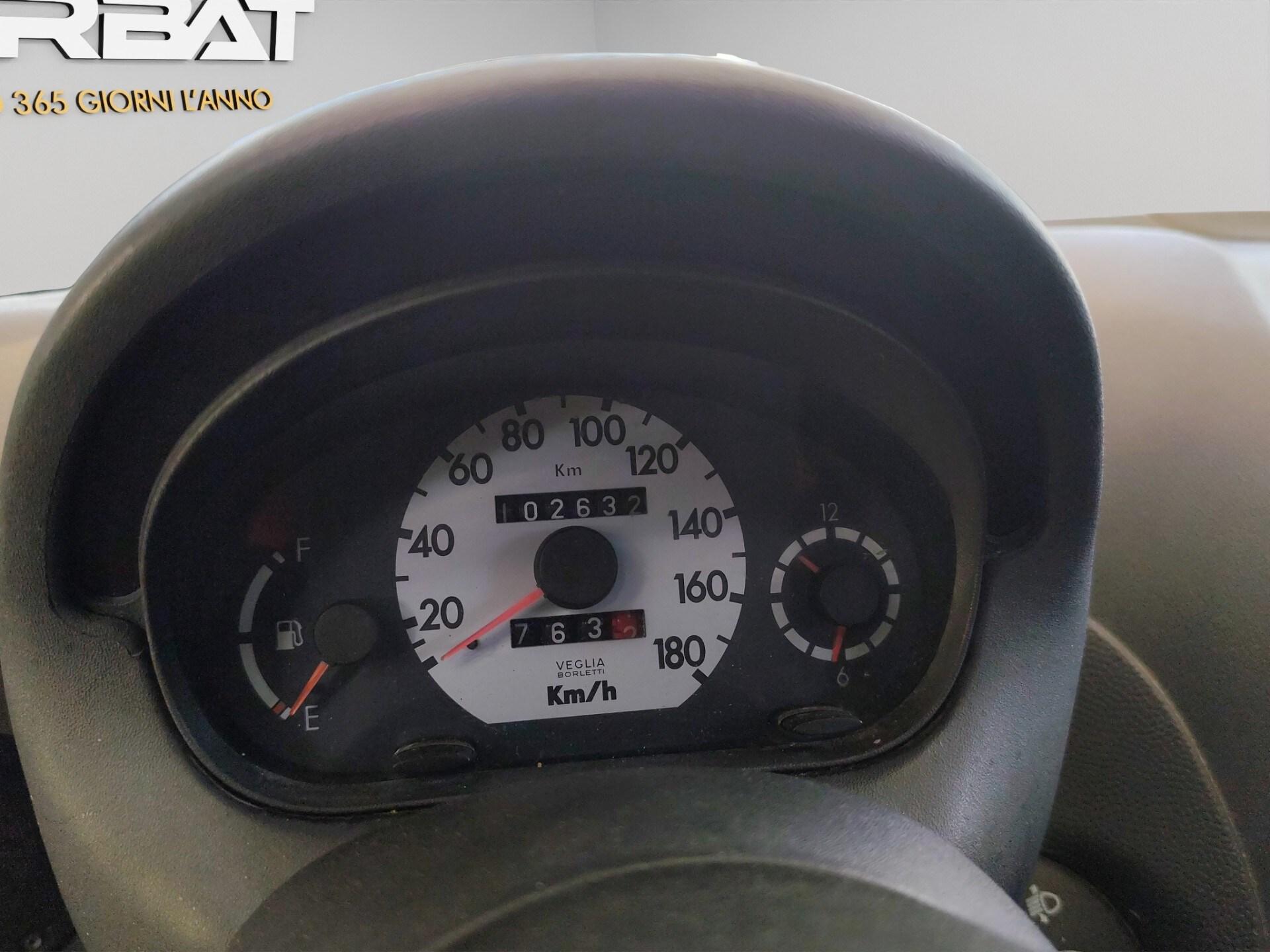 FIAT 900i cat Young